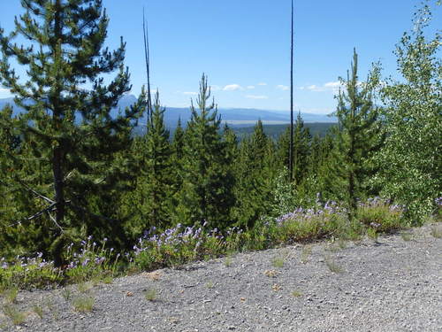 GDMBR: Climbing Chick Mountain.